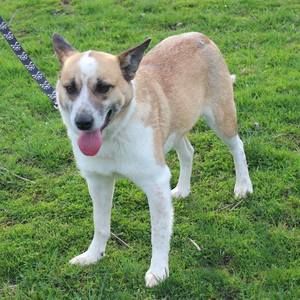 Meet your Posher, Mike